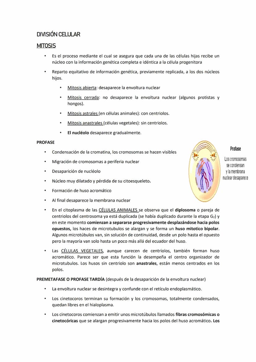 CICLO CELULAR
Es el tiempo que transcurre desde que la célula se forma por división de una
preexistente hasta que se divide y da origen a do