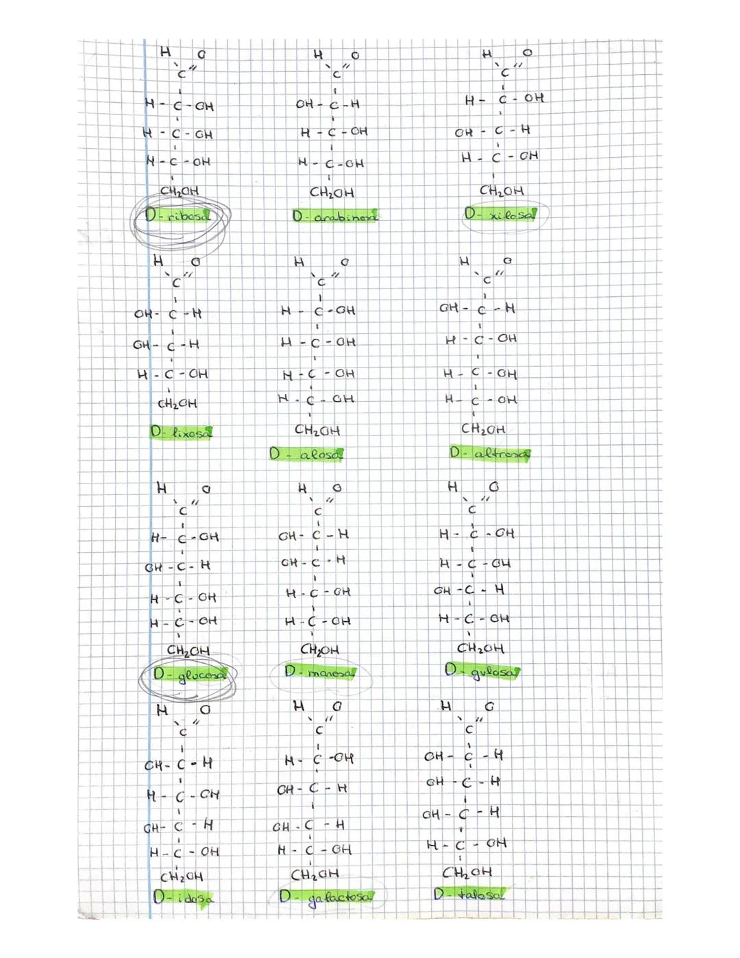 Rate of
Los GLUCIDOS
Todas las biomoléculas orgánicas tienen al carbono como base
Citres elementos que los perman, perd
quimica de
order
e h