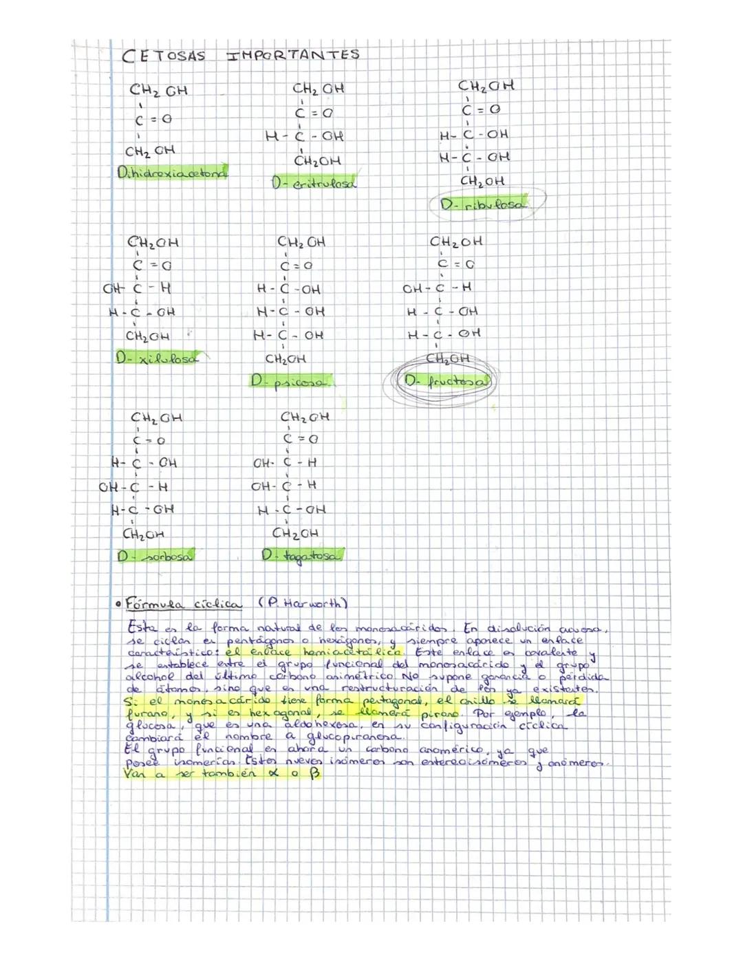 Rate of
Los GLUCIDOS
Todas las biomoléculas orgánicas tienen al carbono como base
Citres elementos que los perman, perd
quimica de
order
e h