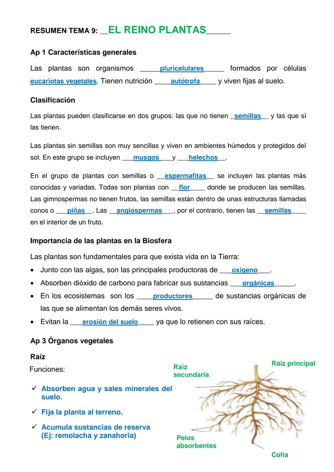 --- OCR Start ---
RESUMEN TEMA 9: EL REINO PLANTAS
Ap 1 Características generales
Las plantas son organismos
pluricelulares
formados por cél