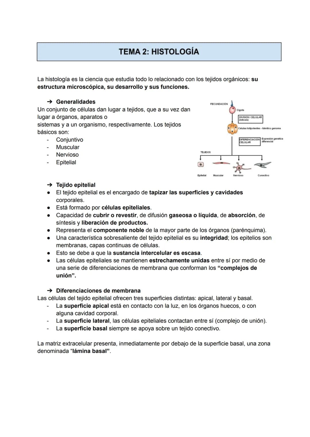 TEMA 2: HISTOLOGÍA
La histología es la ciencia que estudia todo lo relacionado con los tejidos orgánicos: su
estructura microscópica, su des