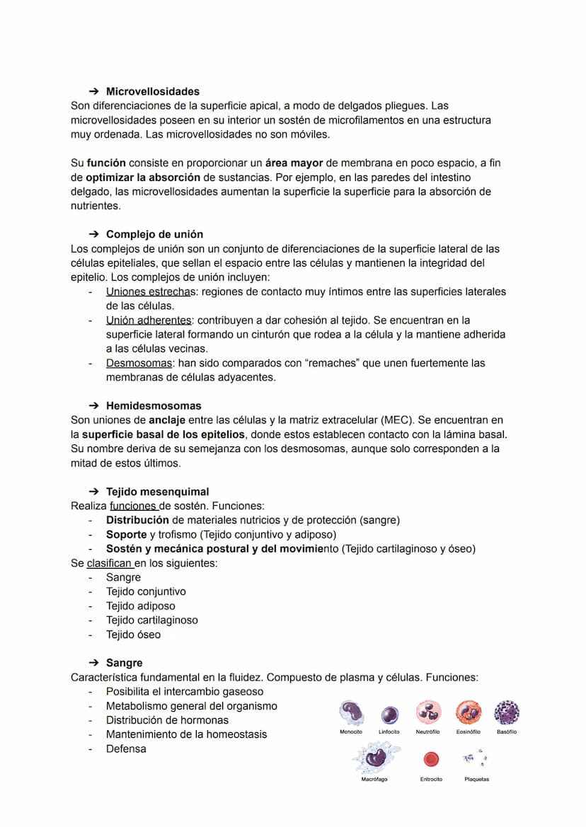 TEMA 2: HISTOLOGÍA
La histología es la ciencia que estudia todo lo relacionado con los tejidos orgánicos: su
estructura microscópica, su des