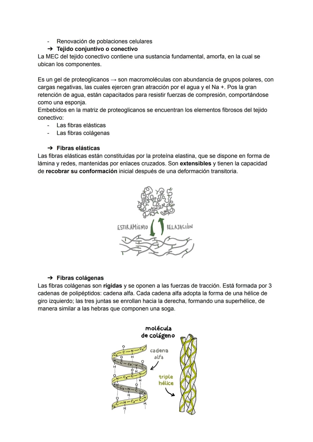 TEMA 2: HISTOLOGÍA
La histología es la ciencia que estudia todo lo relacionado con los tejidos orgánicos: su
estructura microscópica, su des