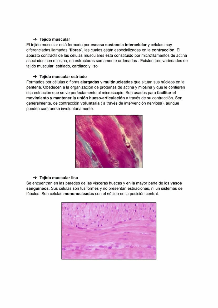 TEMA 2: HISTOLOGÍA
La histología es la ciencia que estudia todo lo relacionado con los tejidos orgánicos: su
estructura microscópica, su des
