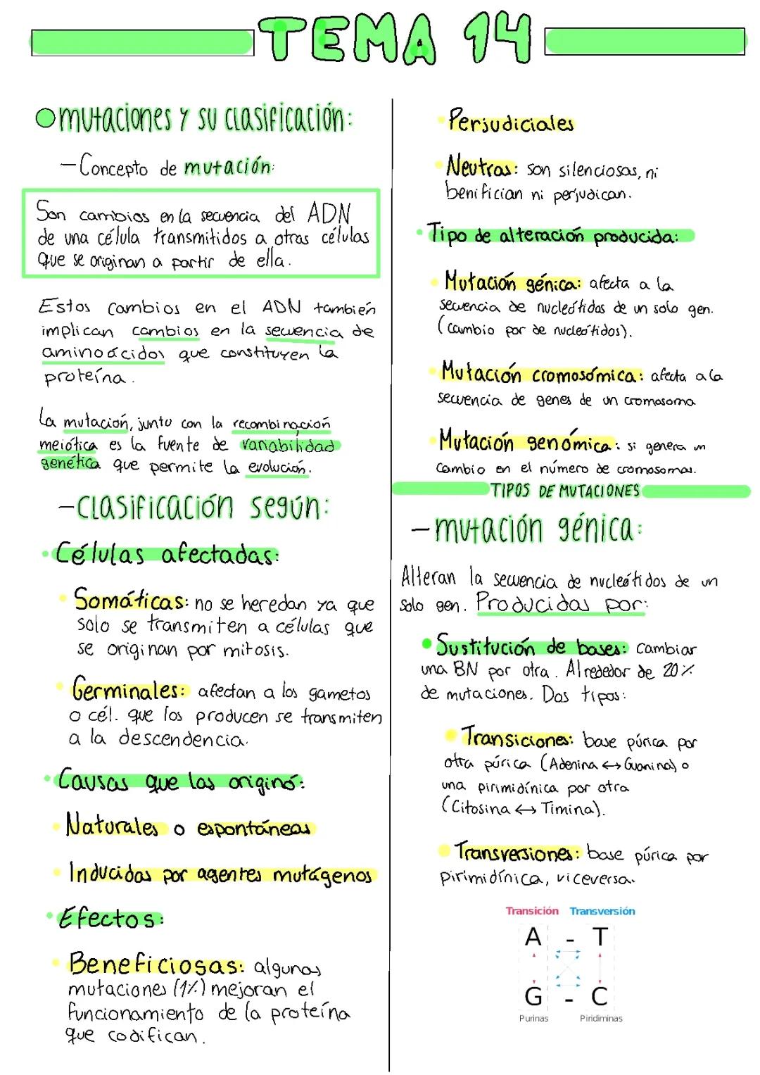 Descubre los Tipos de Mutaciones Genéticas y su Importancia