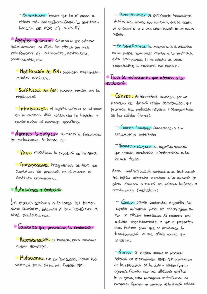 omutaciones
TEMA 14
y su clasificación:
- Concepto de mutación:
Son cambios en la secuencia del ADN
de una célula transmitidos a otras célul