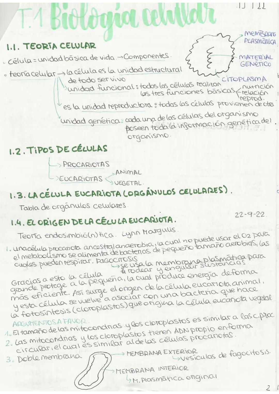 "Tema 0": El método científics
Es una serie de pasos ordenados y rigurosos que llevan a cabo los
científicos para generar
conocimiento.
1. O