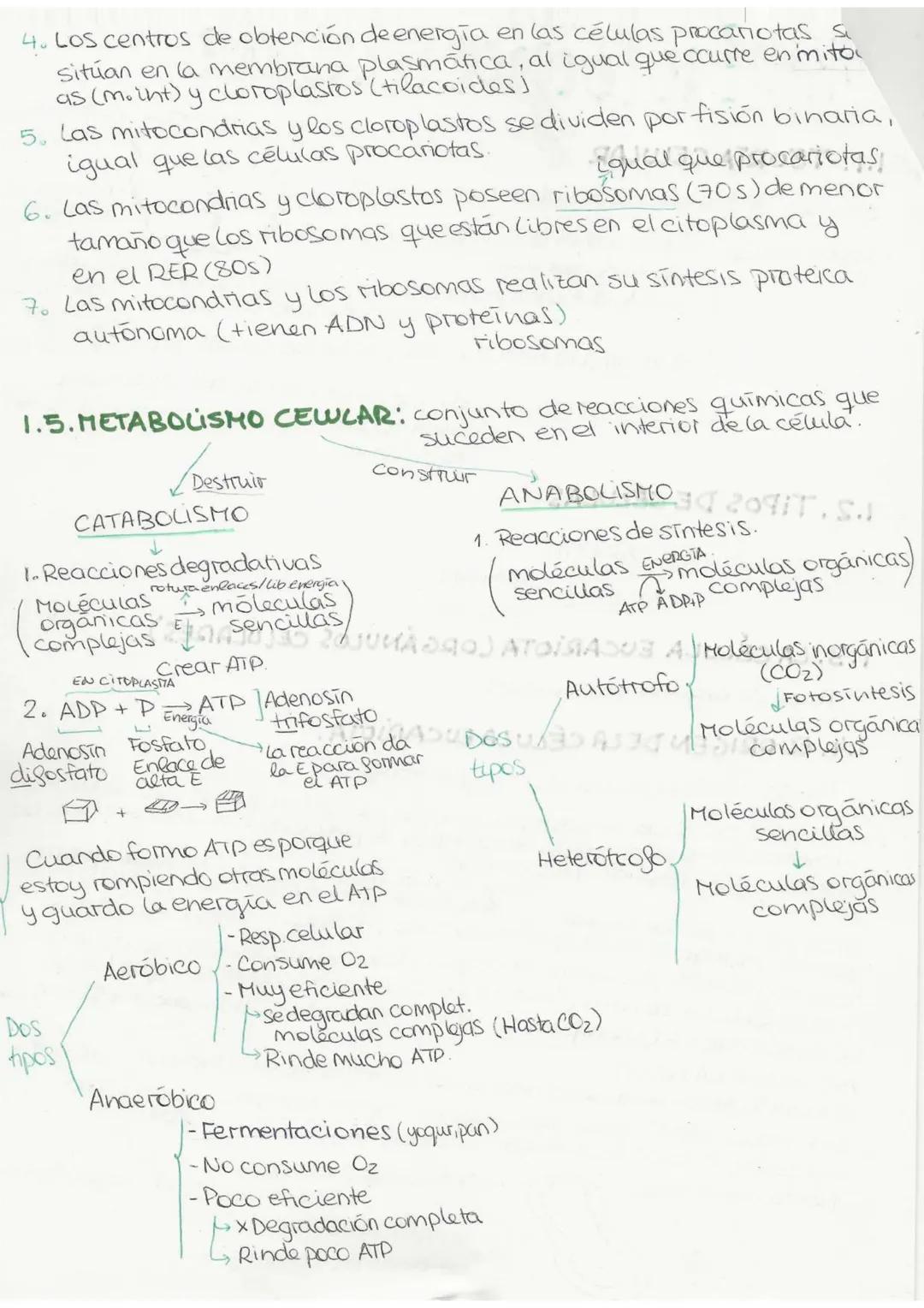 "Tema 0": El método científics
Es una serie de pasos ordenados y rigurosos que llevan a cabo los
científicos para generar
conocimiento.
1. O