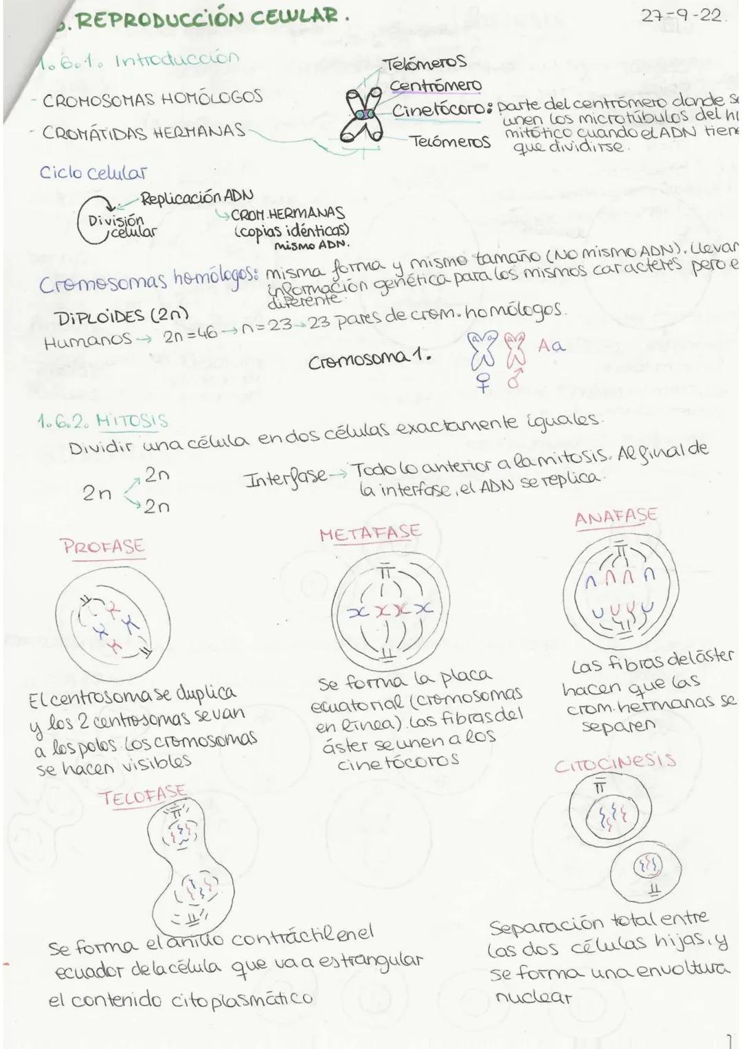 "Tema 0": El método científics
Es una serie de pasos ordenados y rigurosos que llevan a cabo los
científicos para generar
conocimiento.
1. O