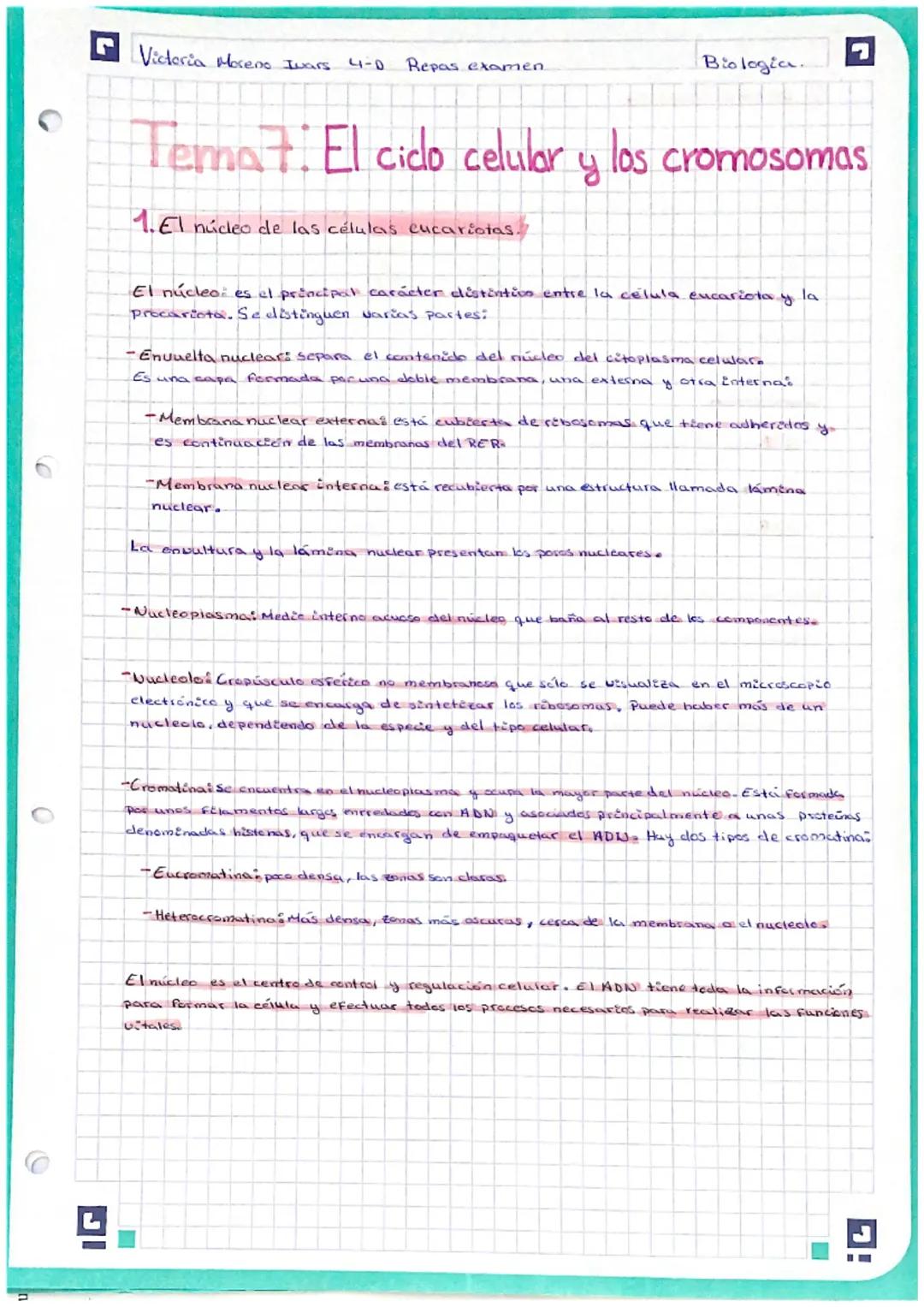 Victoria Moreno Ivars 4-0 Repas examen.
Biologia.
# Tema7: El ciclo celular y los cromosomas

## 1. El núcleo de las células eucariotas

El 