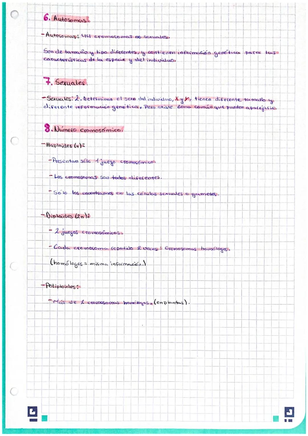 Victoria Moreno Ivars 4-0 Repas examen.
Biologia.
# Tema7: El ciclo celular y los cromosomas

## 1. El núcleo de las células eucariotas

El 
