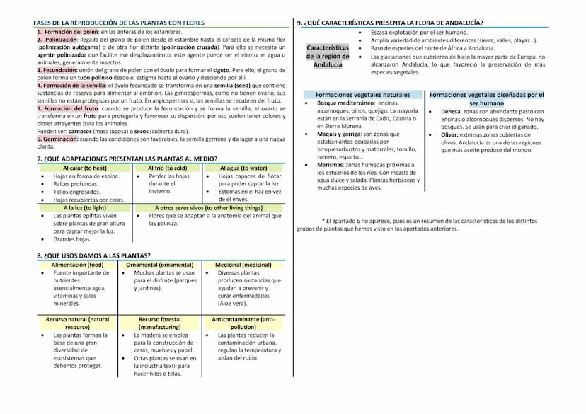 1. ¿QUÉ SON LAS PLANTAS?
Características
Organismos pluricelulares
Eucariotas vegetales
●
Con nutrición autótrofa (fotosíntesis)
- Evolucion