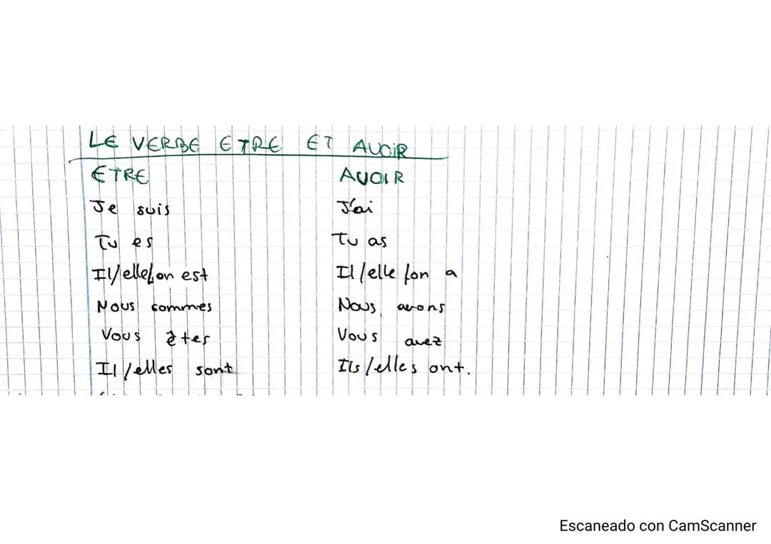 Ejemplos de Conjugación de los Verbos Être y Avoir