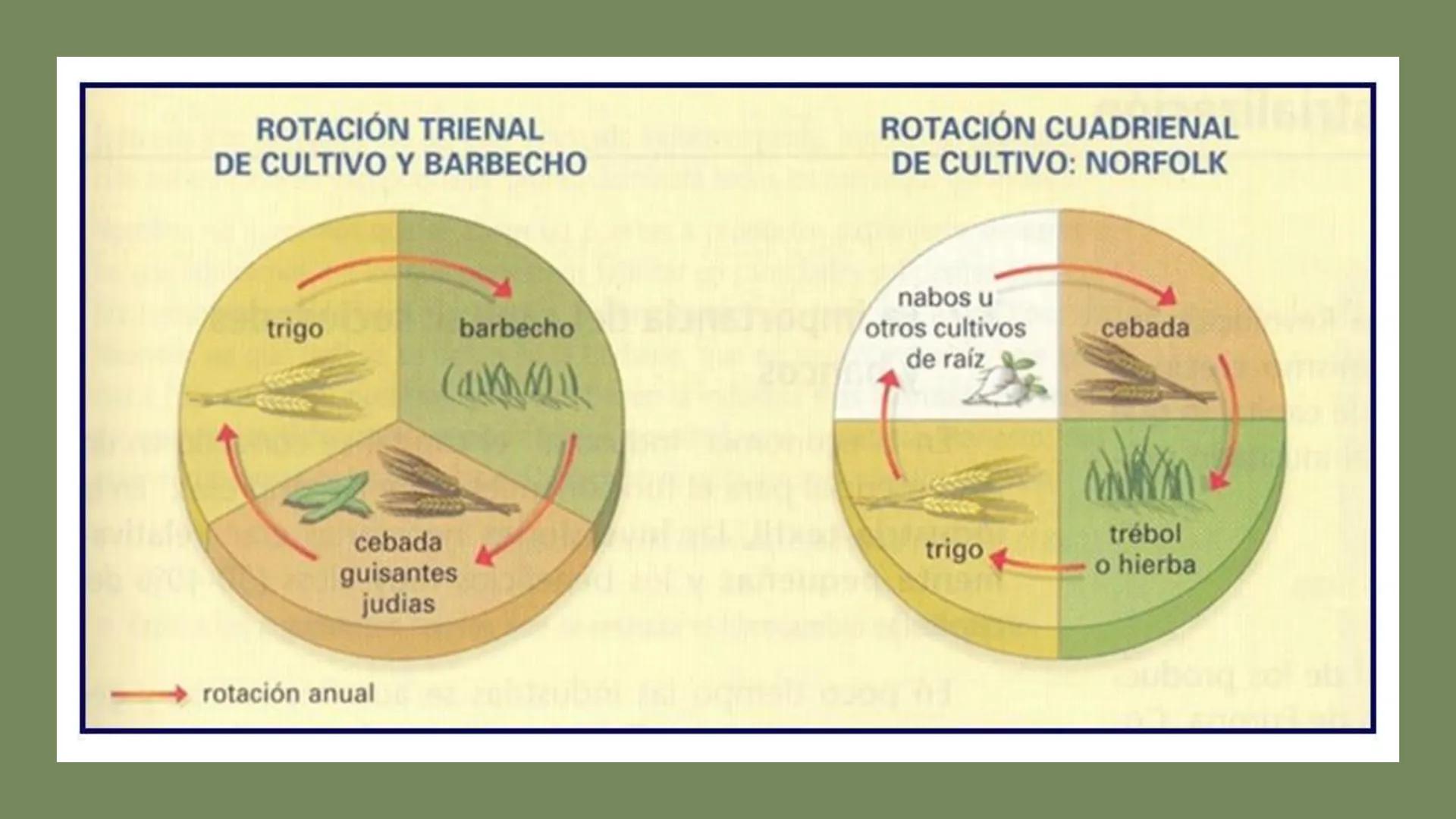 TEMA 3 ¿CÓMO
CAMBIO EL MUNDO
CON LA
INDUSTRILIZACIÓN? ....
1. ¿QUÉ REVOLUCIONES
SIMULTÁNEAS
ESTIMULARON LA
INDUSTRIALIZACIÓN?
• La industria