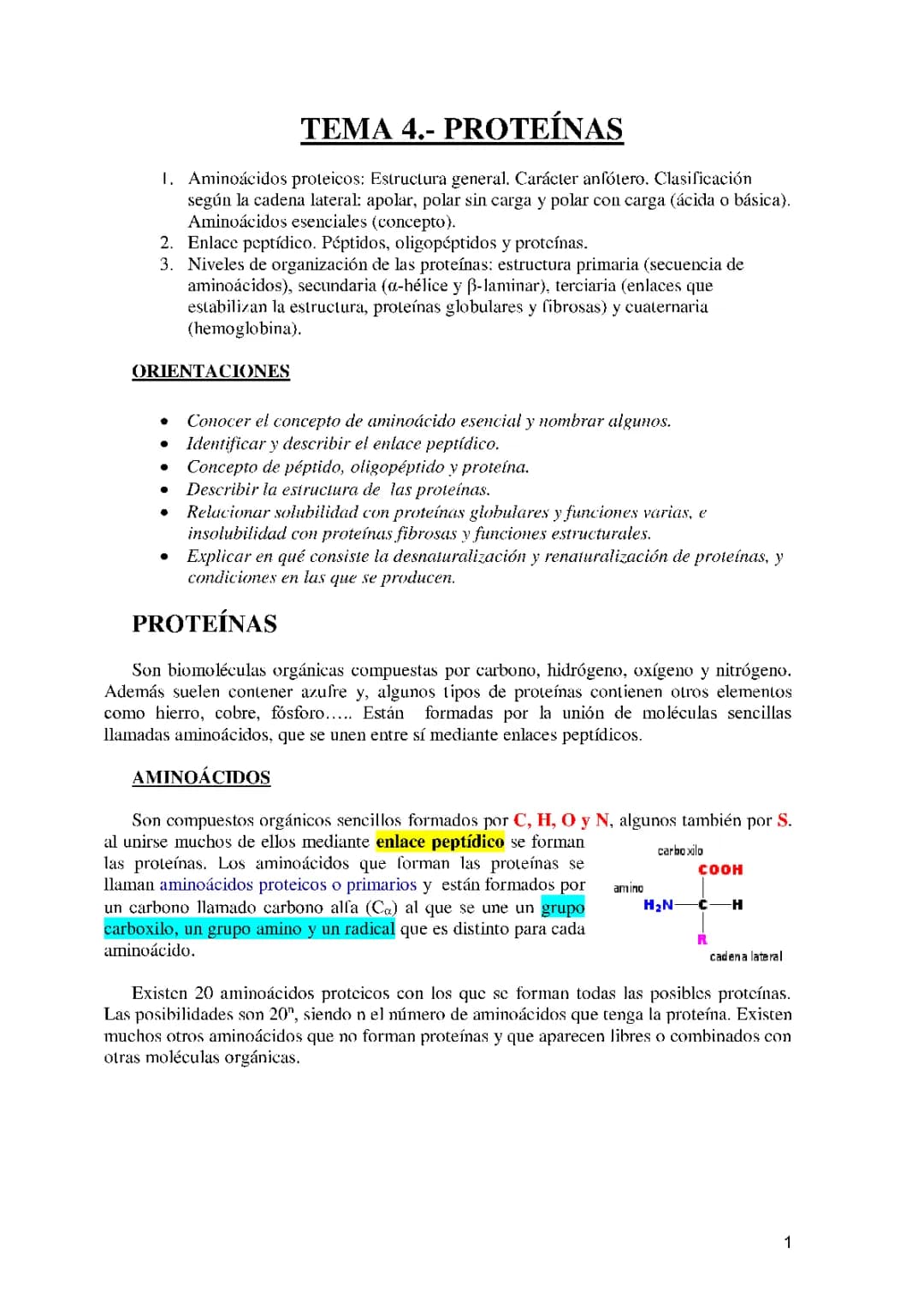 Proteínas 