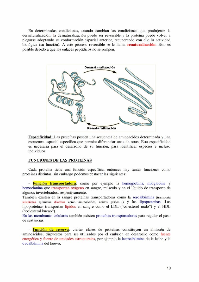 TEMA 4.- PROTEÍNAS
1. Aminoácidos proteicos: Estructura general. Carácter anfótero. Clasificación
según la cadena lateral: apolar, polar sin