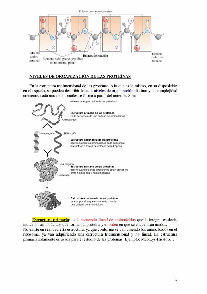 TEMA 4.- PROTEÍNAS
1. Aminoácidos proteicos: Estructura general. Carácter anfótero. Clasificación
según la cadena lateral: apolar, polar sin