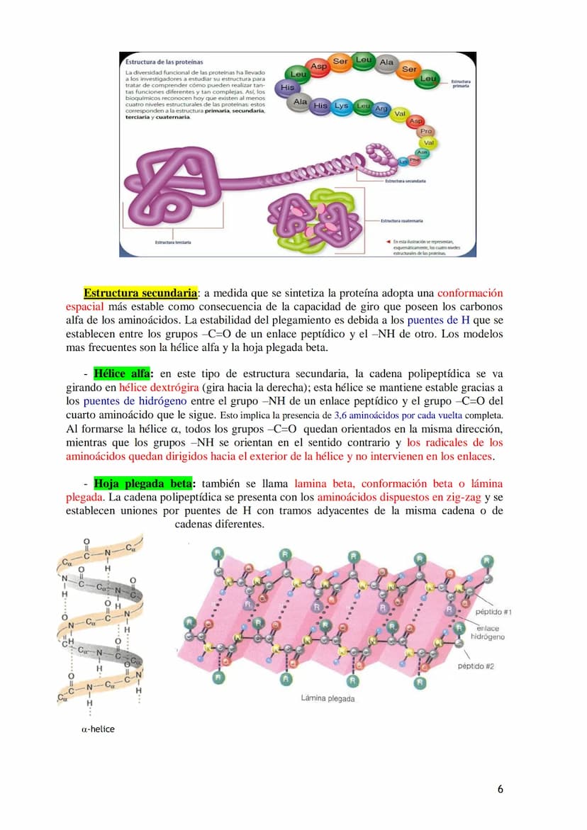 TEMA 4.- PROTEÍNAS
1. Aminoácidos proteicos: Estructura general. Carácter anfótero. Clasificación
según la cadena lateral: apolar, polar sin