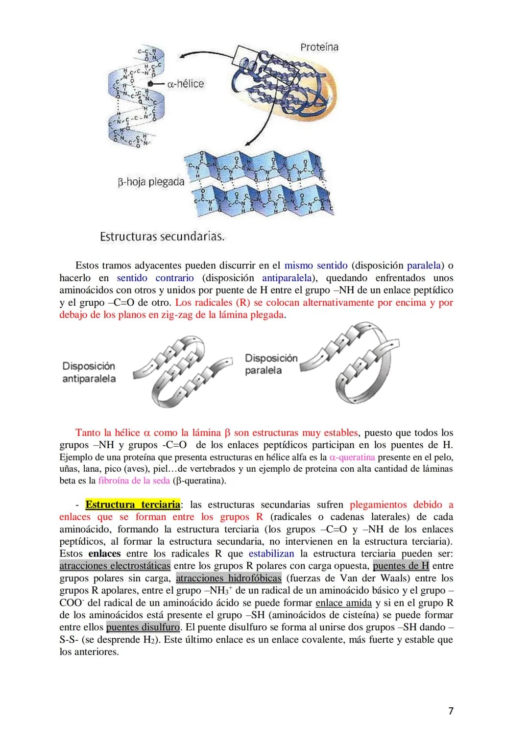 TEMA 4.- PROTEÍNAS
1. Aminoácidos proteicos: Estructura general. Carácter anfótero. Clasificación
según la cadena lateral: apolar, polar sin