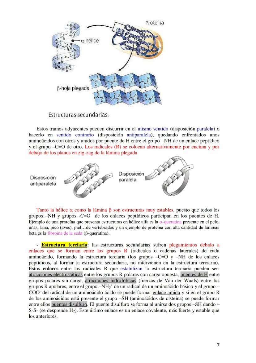 TEMA 4.- PROTEÍNAS
1. Aminoácidos proteicos: Estructura general. Carácter anfótero. Clasificación
según la cadena lateral: apolar, polar sin