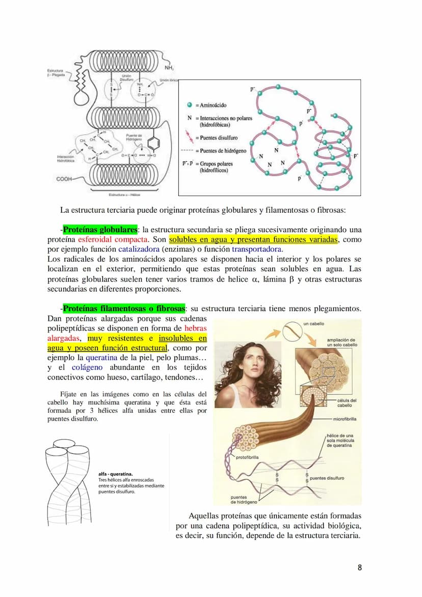 TEMA 4.- PROTEÍNAS
1. Aminoácidos proteicos: Estructura general. Carácter anfótero. Clasificación
según la cadena lateral: apolar, polar sin