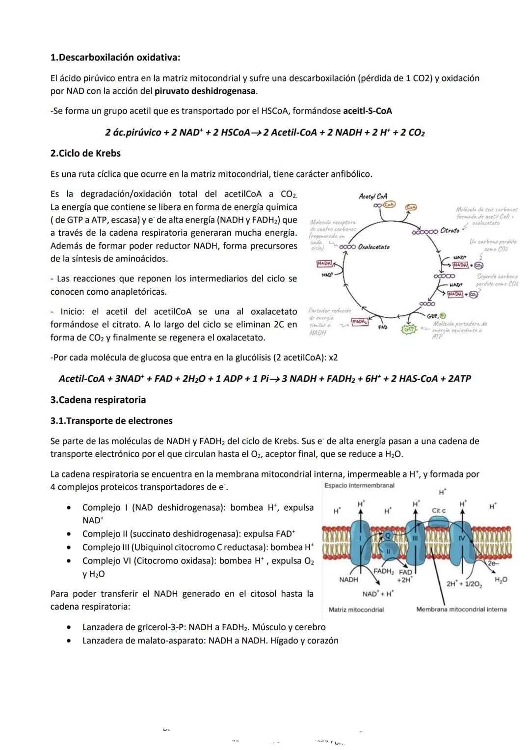 Metabolismo
Es el conjunto de reacciones químicas y procesos energéticos que tienen lugar en las células, mediante las
que realizan todas su