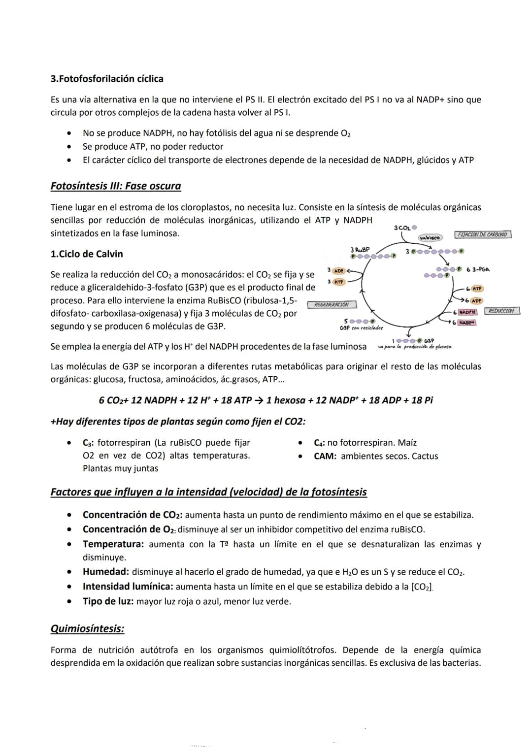 Metabolismo
Es el conjunto de reacciones químicas y procesos energéticos que tienen lugar en las células, mediante las
que realizan todas su
