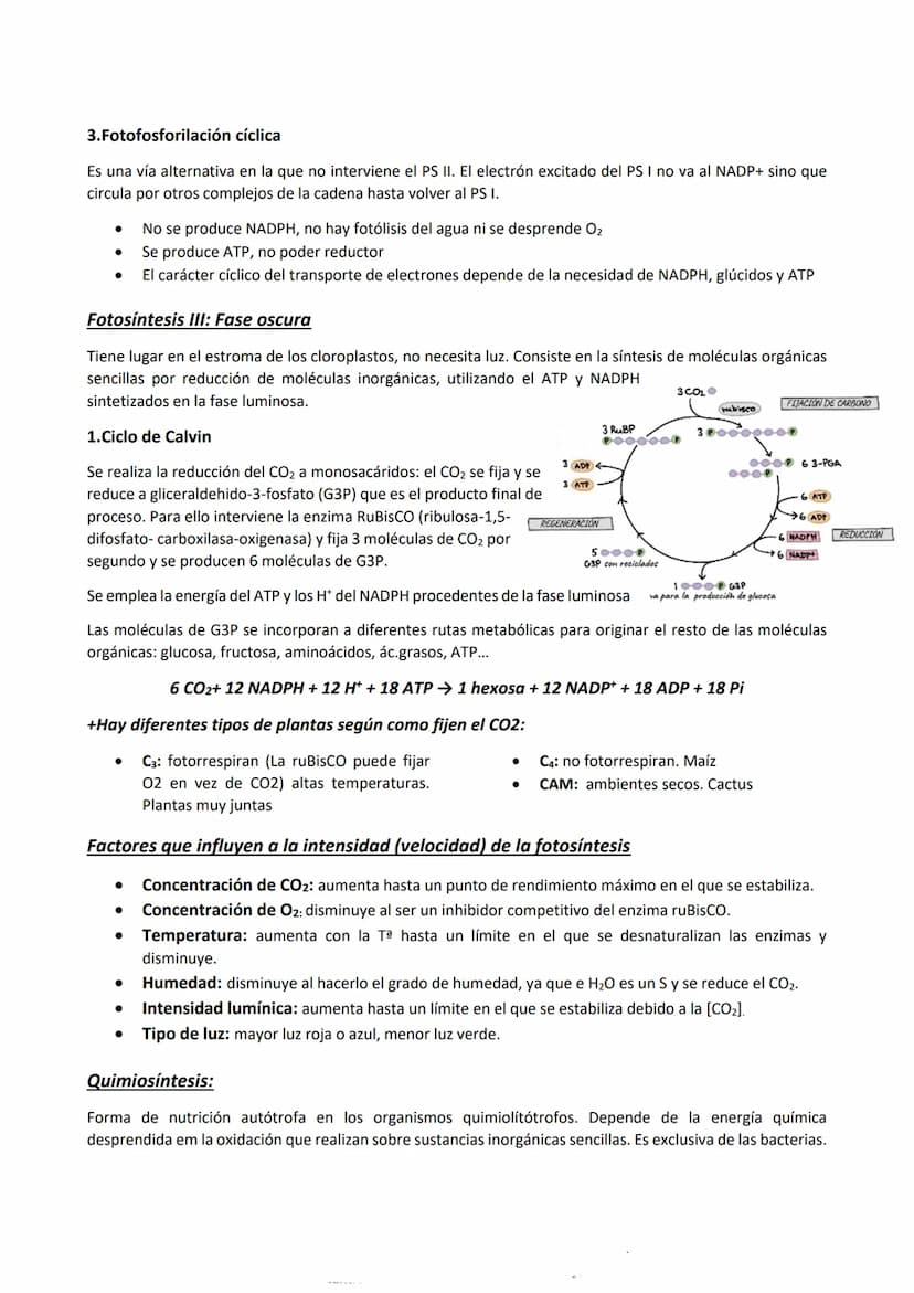 Metabolismo
Es el conjunto de reacciones químicas y procesos energéticos que tienen lugar en las células, mediante las
que realizan todas su