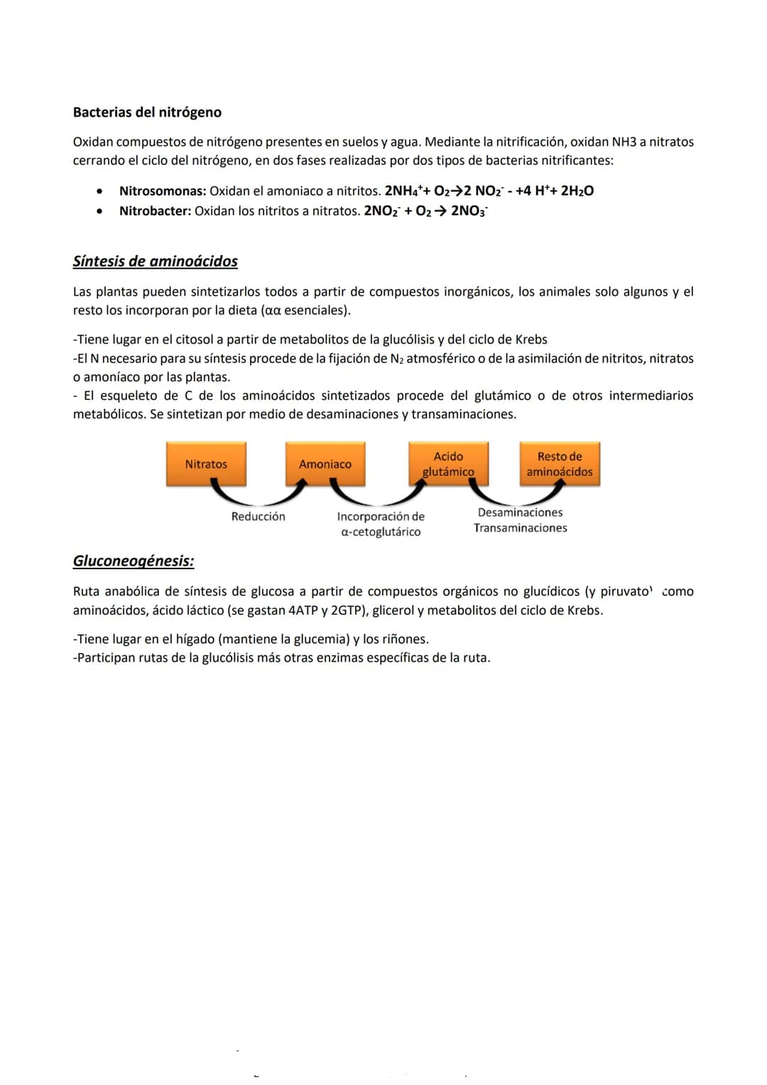 Metabolismo
Es el conjunto de reacciones químicas y procesos energéticos que tienen lugar en las células, mediante las
que realizan todas su