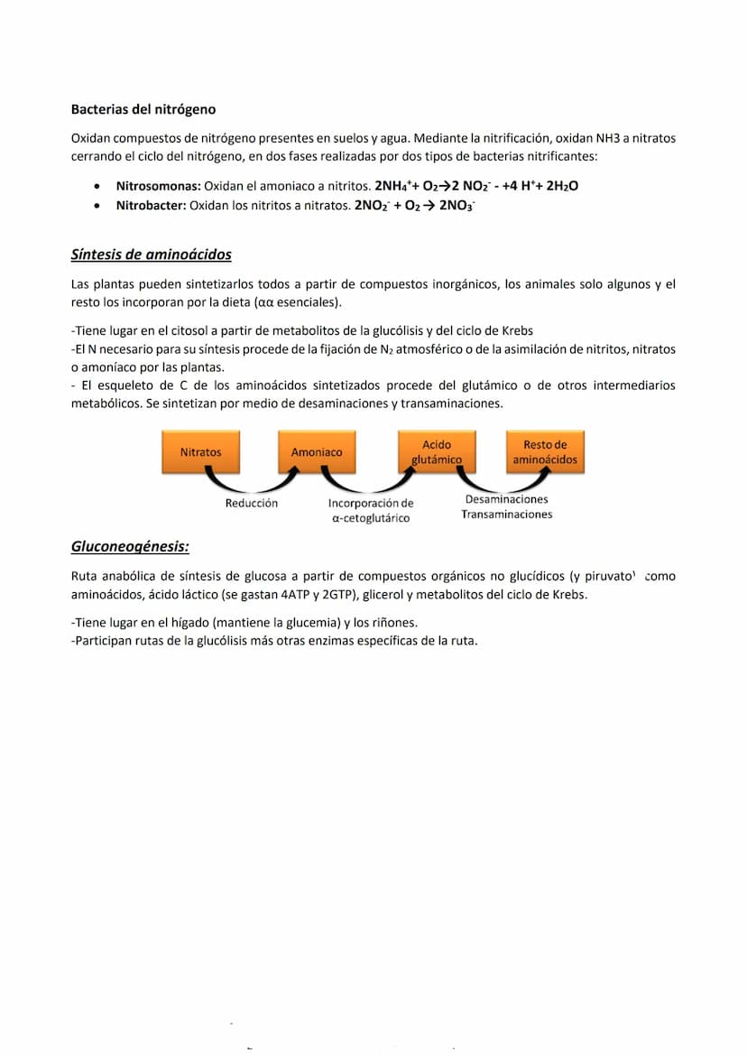 Metabolismo
Es el conjunto de reacciones químicas y procesos energéticos que tienen lugar en las células, mediante las
que realizan todas su