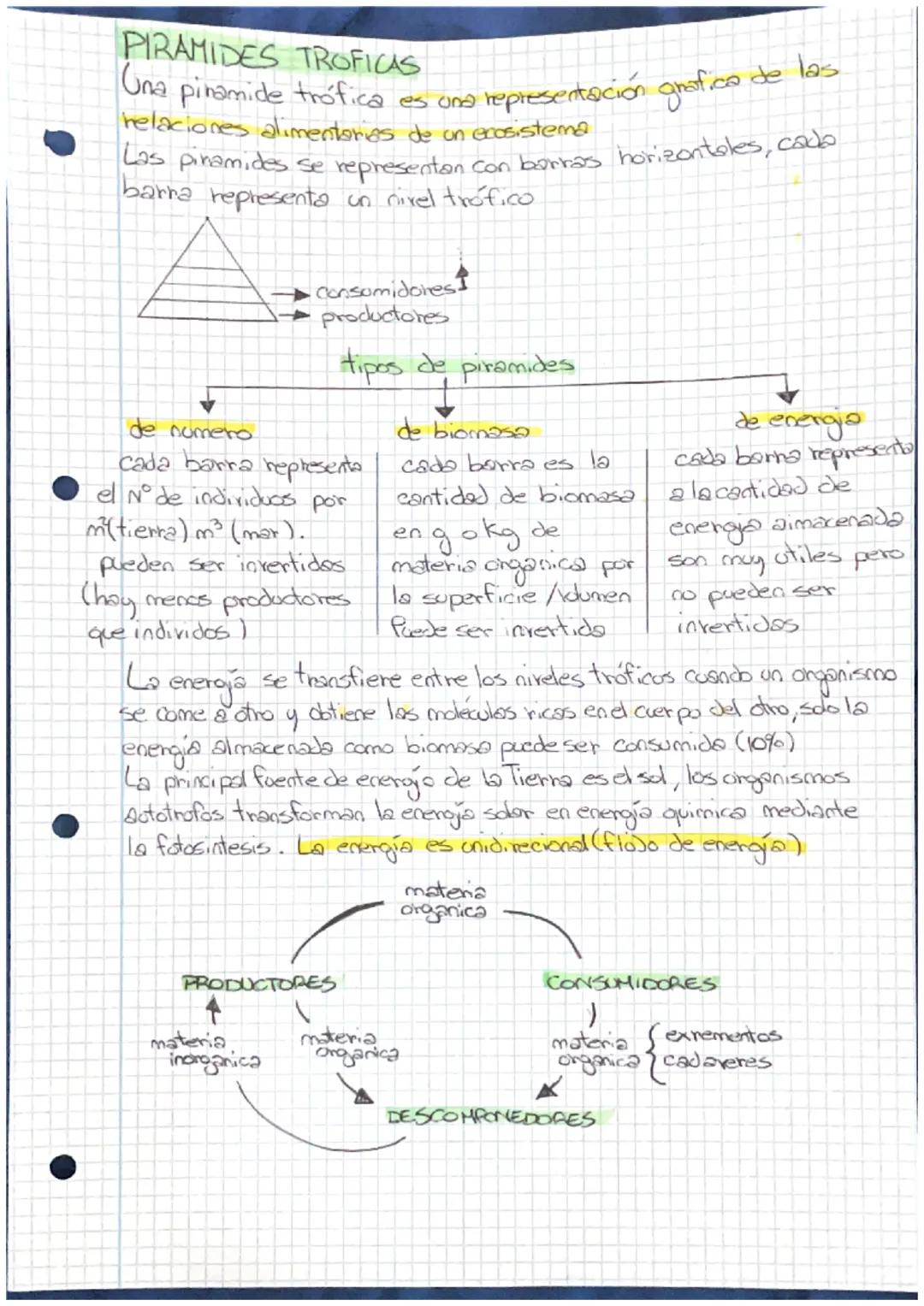 ●
PIRAMIDES TROFICAS
Una
pinamide tráfica es una representación grafico de las
relaciones alimentarias de un ecosistema
Las pinamides se rep