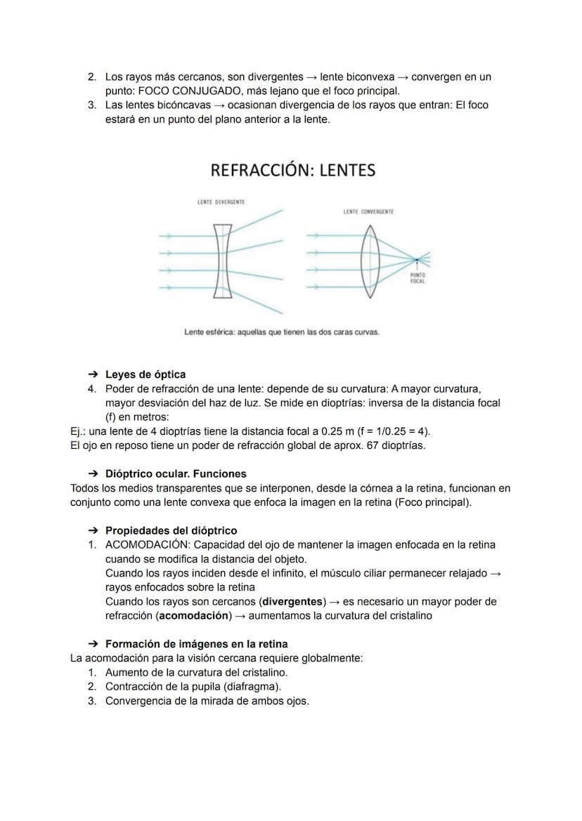 TEMA 20: FISIOLOGÍA DE LA VISIÓN
El ojo detecta e interpreta los estímulos luminosos: ondas electromagnéticas.
Puede distinguir dos cualidad