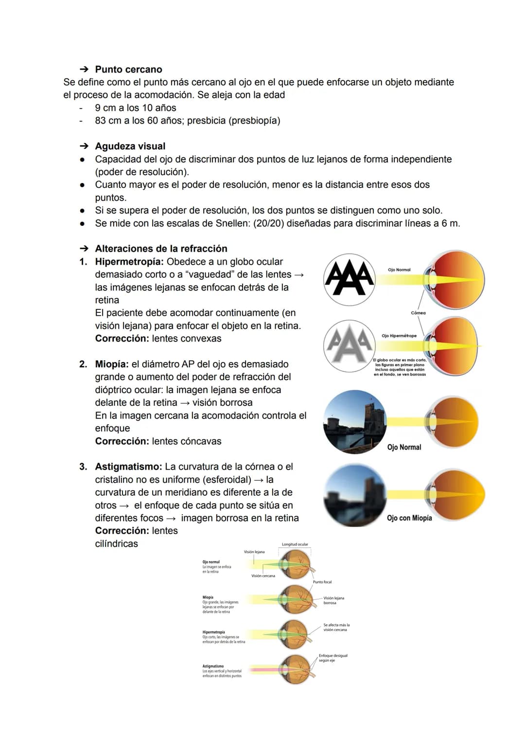 TEMA 20: FISIOLOGÍA DE LA VISIÓN
El ojo detecta e interpreta los estímulos luminosos: ondas electromagnéticas.
Puede distinguir dos cualidad