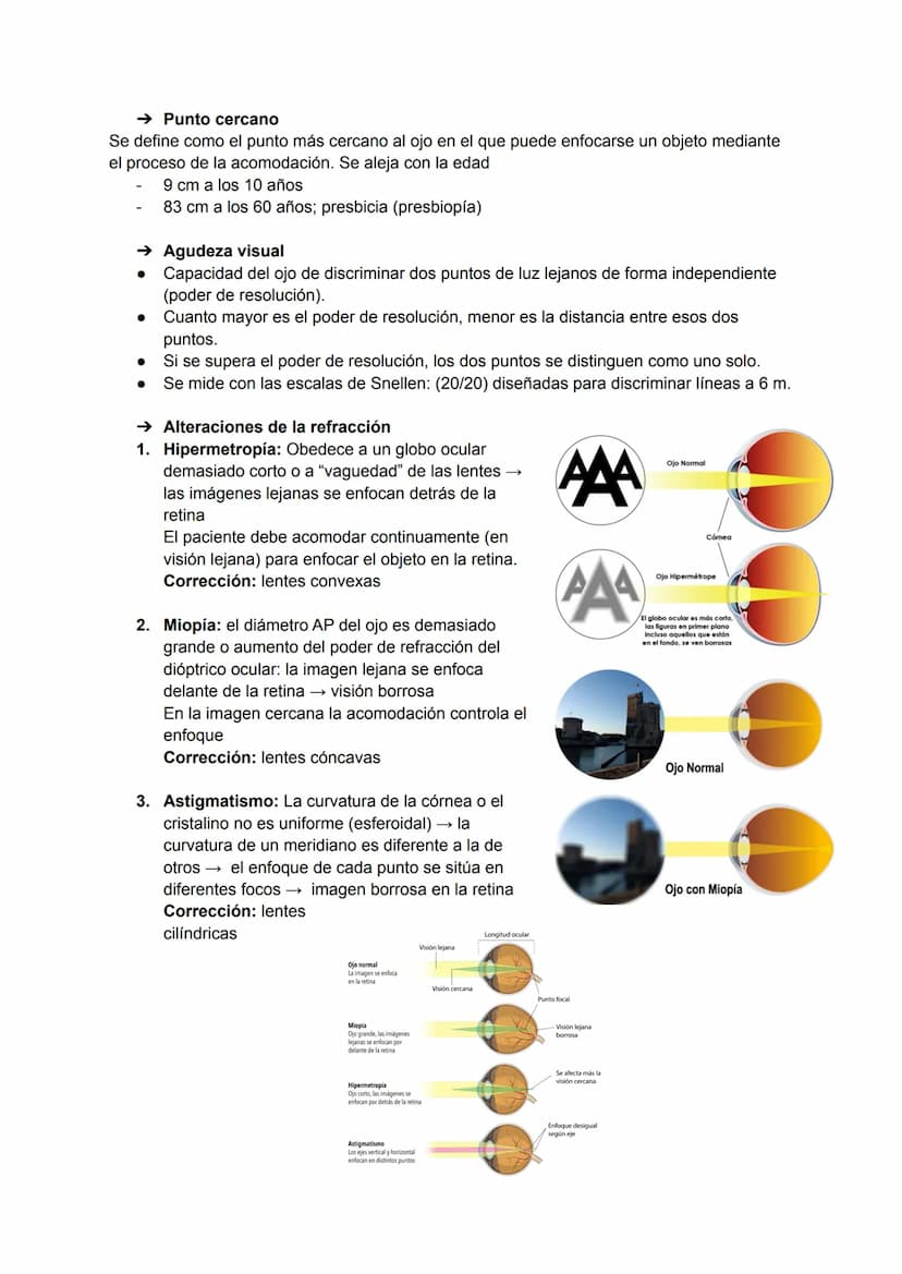 TEMA 20: FISIOLOGÍA DE LA VISIÓN
El ojo detecta e interpreta los estímulos luminosos: ondas electromagnéticas.
Puede distinguir dos cualidad