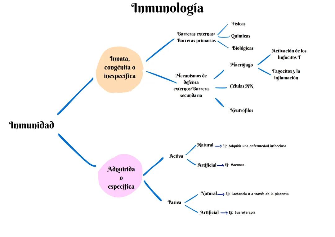 Guía Completa de Inmunología para EVAU