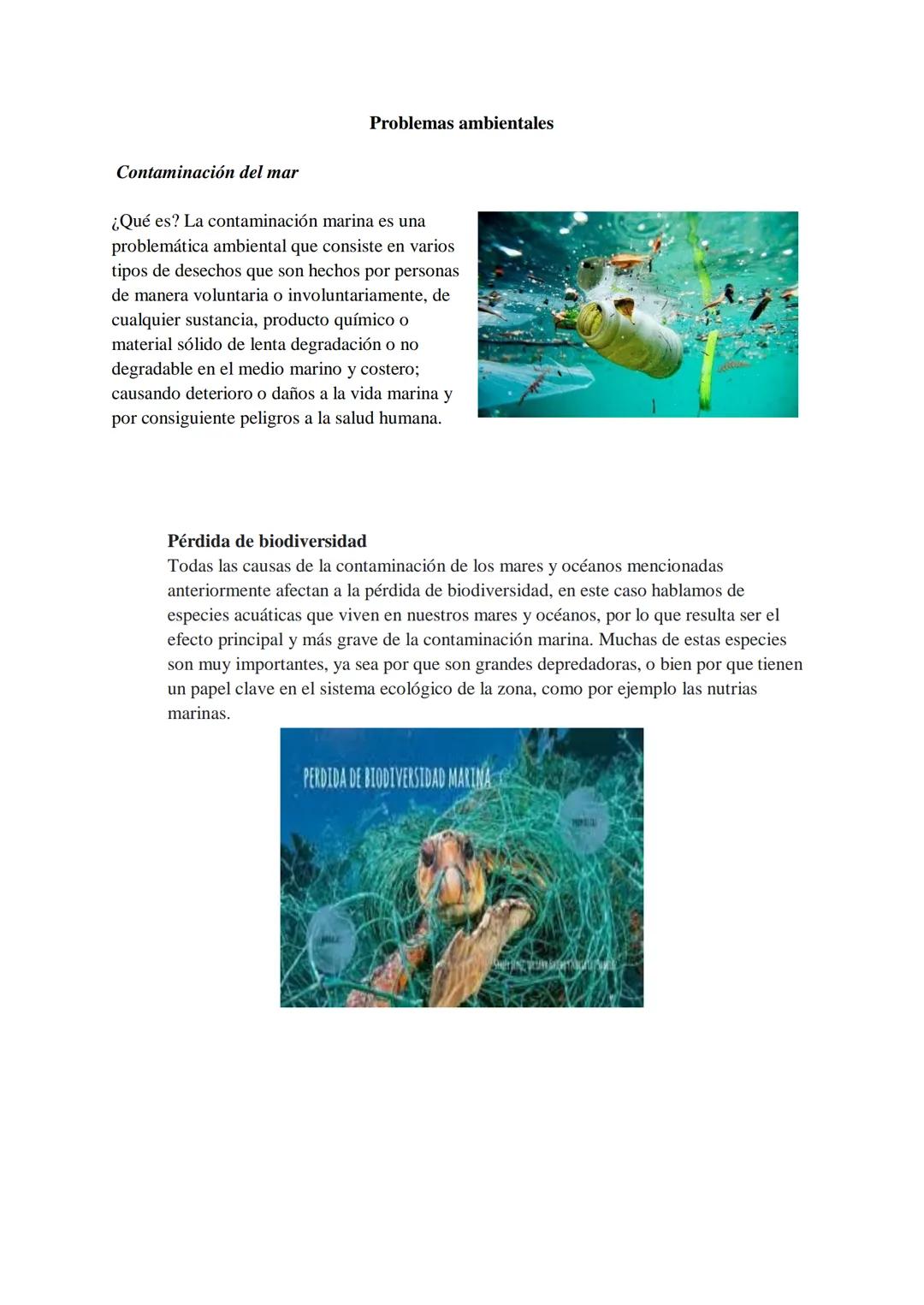 Problemas ambientales

Contaminación del mar

¿Qué es? La contaminación marina es una
problemática ambiental que consiste en varios
tipos de