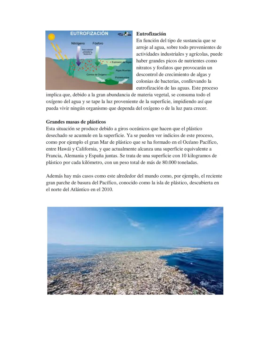 Problemas ambientales

Contaminación del mar

¿Qué es? La contaminación marina es una
problemática ambiental que consiste en varios
tipos de