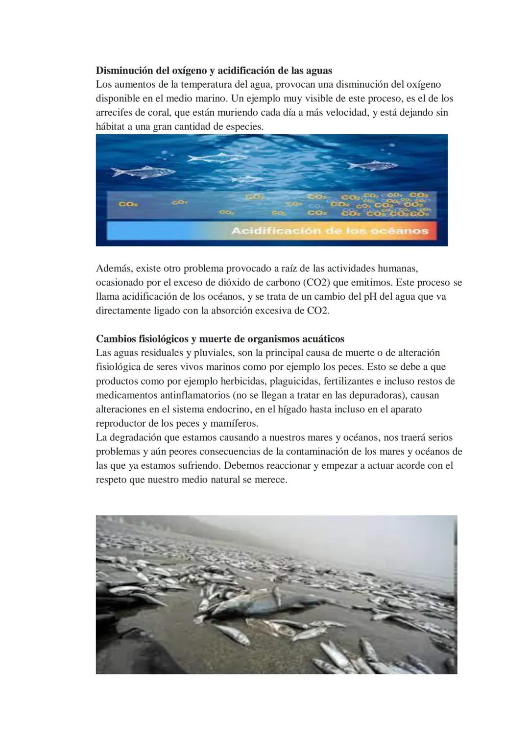 Problemas ambientales

Contaminación del mar

¿Qué es? La contaminación marina es una
problemática ambiental que consiste en varios
tipos de