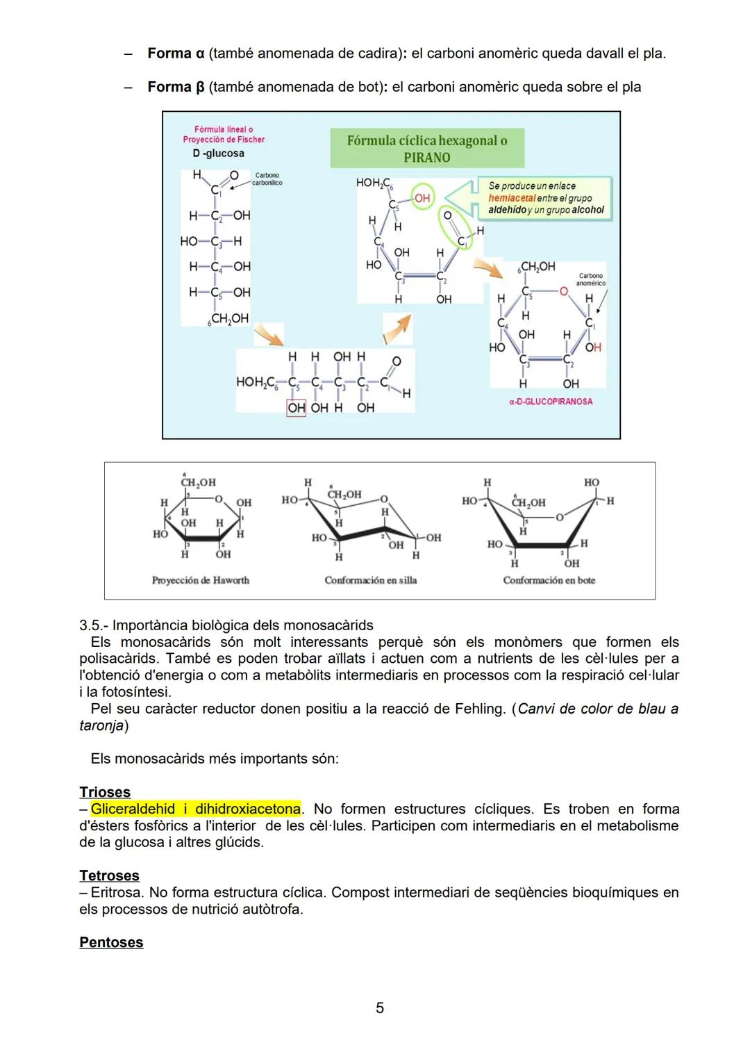 # BLOC A: LES BIOMOLECULES

# UNITAT 3.- ELS GLÚCIDS

Sabers bàsics
- Característiques químiques, isomeries, enllaços
- Funcions dels monosa