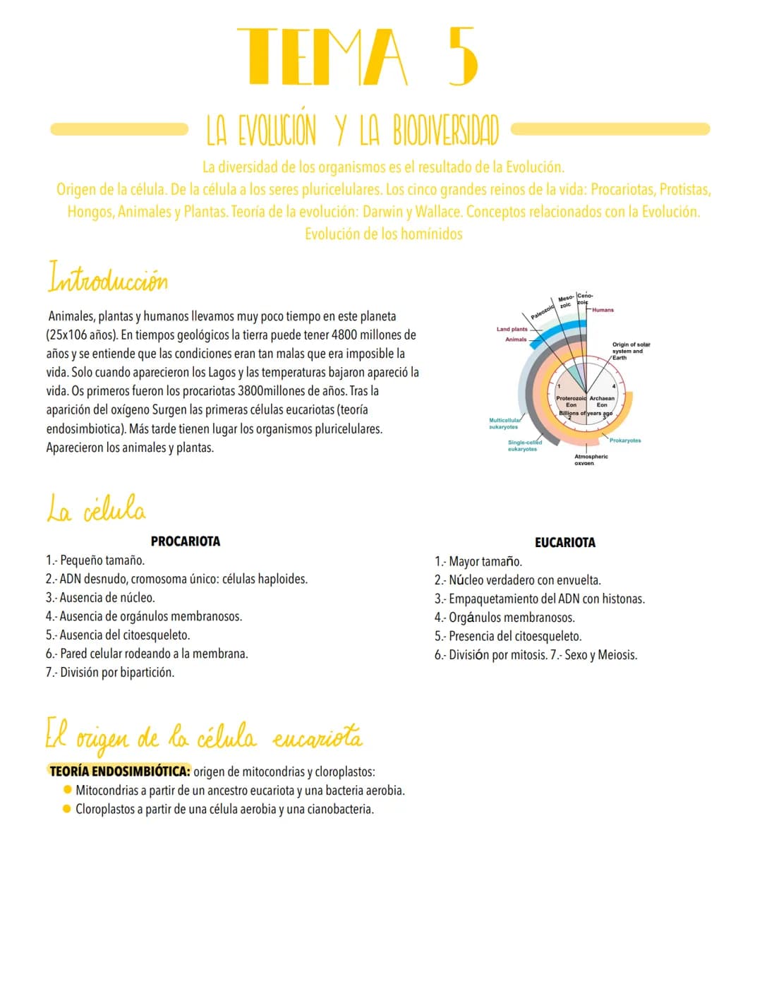 TEMA 5
LA EVOLUCIÓN Y LA BIODIVERSIDAD
La diversidad de los organismos es el resultado de la Evolución.
Origen de la célula. De la célula a 