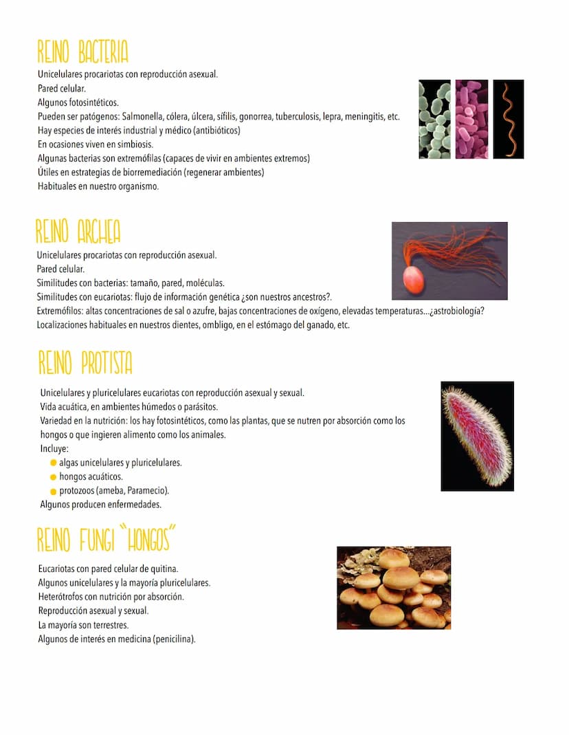 TEMA 5
LA EVOLUCIÓN Y LA BIODIVERSIDAD
La diversidad de los organismos es el resultado de la Evolución.
Origen de la célula. De la célula a 