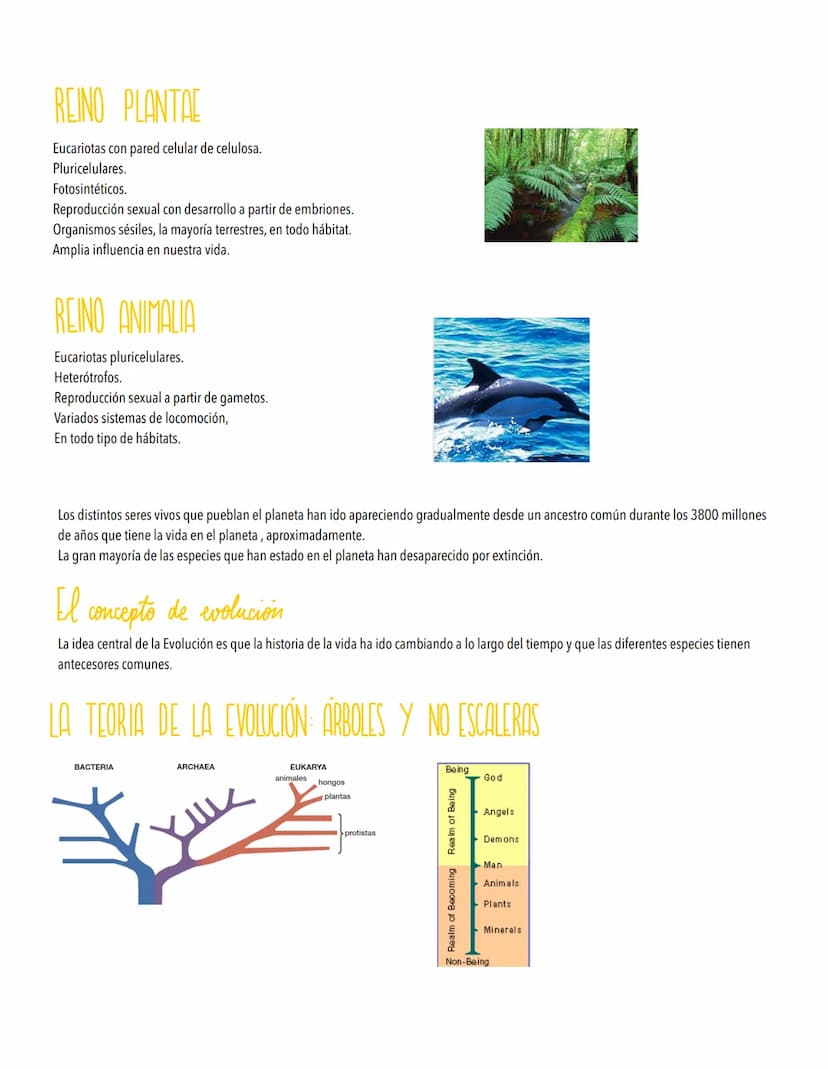 TEMA 5
LA EVOLUCIÓN Y LA BIODIVERSIDAD
La diversidad de los organismos es el resultado de la Evolución.
Origen de la célula. De la célula a 