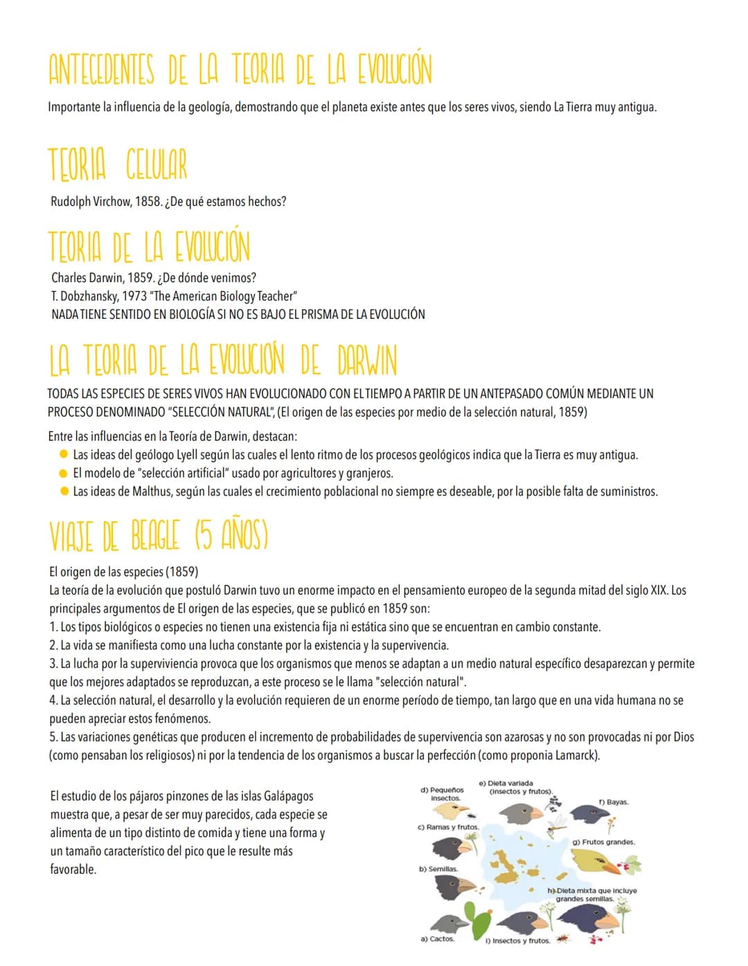 TEMA 5
LA EVOLUCIÓN Y LA BIODIVERSIDAD
La diversidad de los organismos es el resultado de la Evolución.
Origen de la célula. De la célula a 