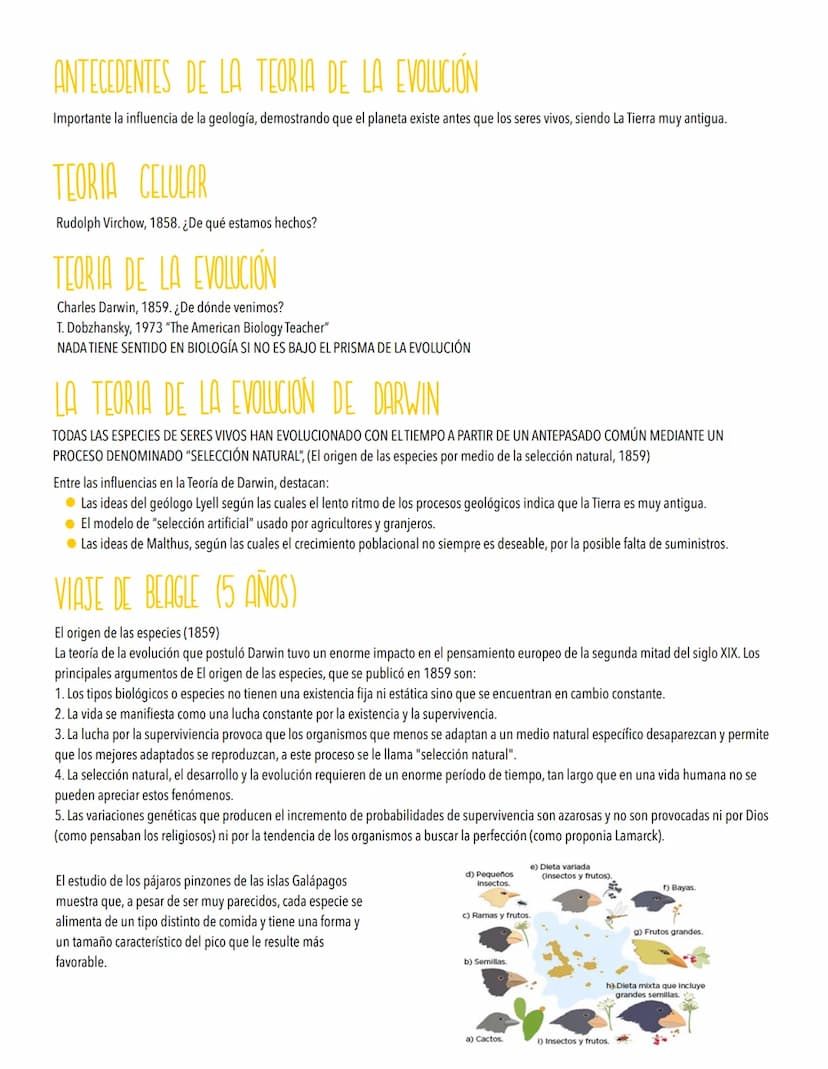 TEMA 5
LA EVOLUCIÓN Y LA BIODIVERSIDAD
La diversidad de los organismos es el resultado de la Evolución.
Origen de la célula. De la célula a 