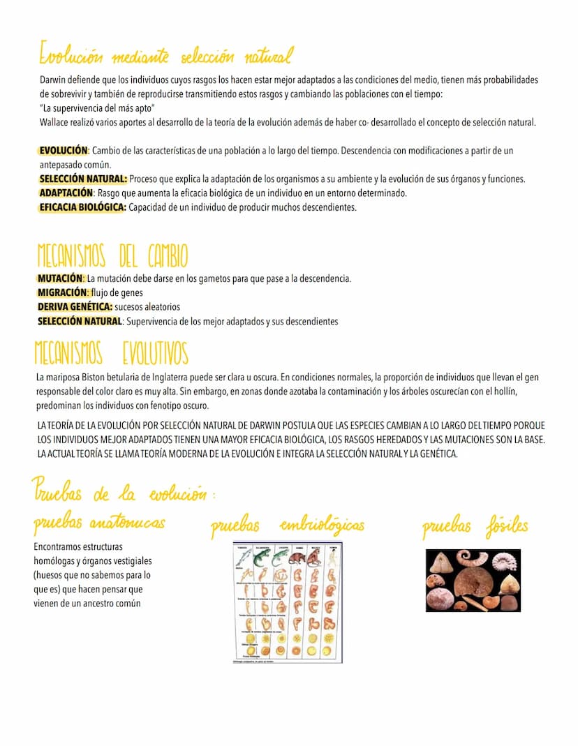 TEMA 5
LA EVOLUCIÓN Y LA BIODIVERSIDAD
La diversidad de los organismos es el resultado de la Evolución.
Origen de la célula. De la célula a 