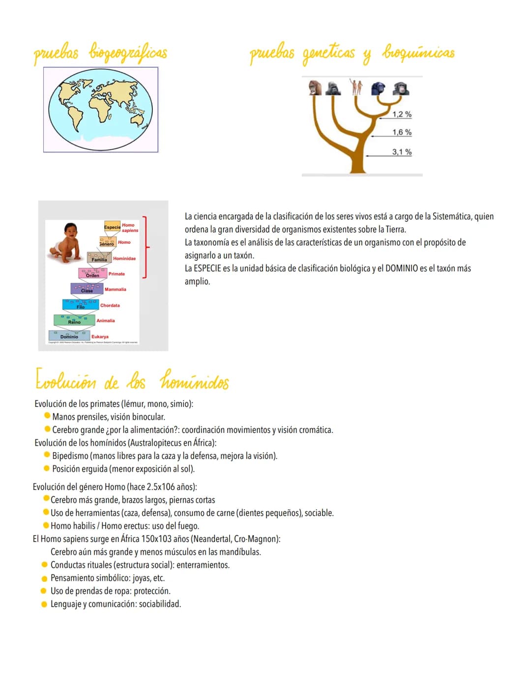 TEMA 5
LA EVOLUCIÓN Y LA BIODIVERSIDAD
La diversidad de los organismos es el resultado de la Evolución.
Origen de la célula. De la célula a 