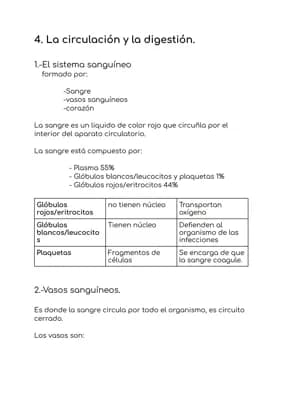 Know Sistema circulatorio thumbnail