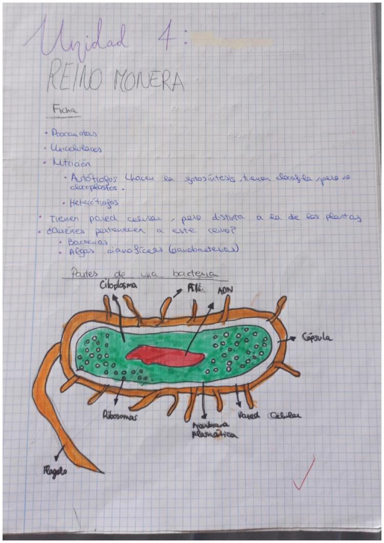 Tipos de células: Esquema conceptual (Biología y Geología) como PDF -  Knowunity
