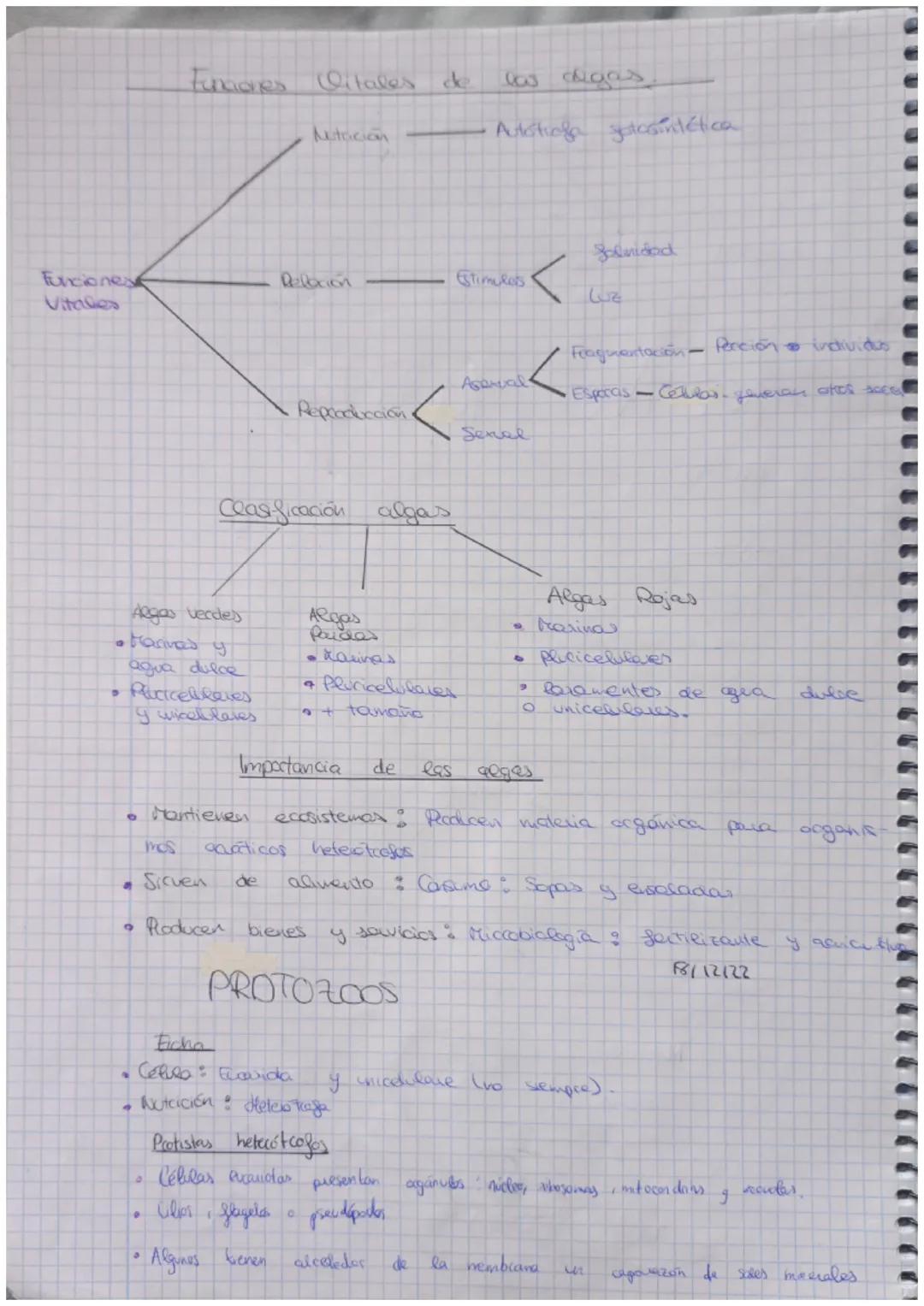 Unidad 4
REINO MONERA
Ficha
.
✔
Procar otaus
Unicelulares
Nutrición
▼
4
Tienen pored celular
¿Quiénes pertenecen a
Autotropos Chacen la
cloc