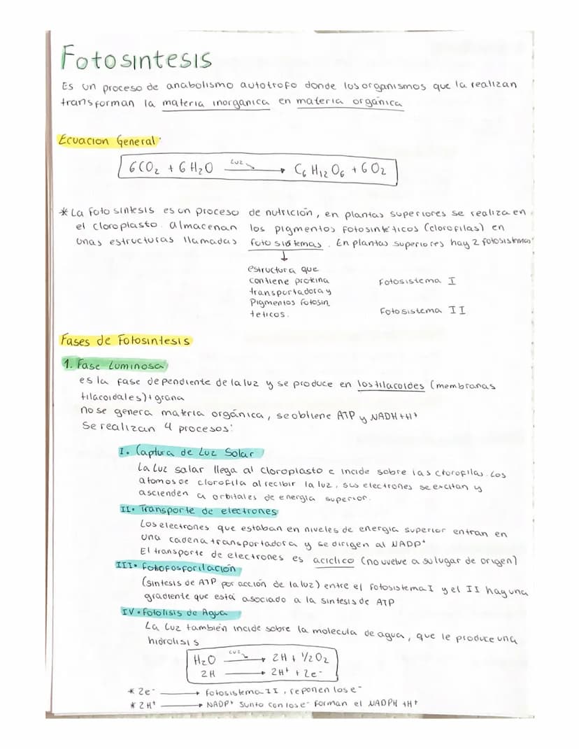 METABOLISMO
El metabolismo es el conjunto de reacciones enzimaticas que se producen
en el interior de la celula.
Objetivo fundamental del me